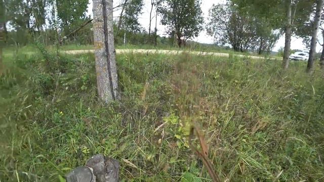 МЕТАЛЛ С ОБОЧИНЫ ДЕРЕВЕНСКОЙ ДОРОГИ! смотреть онлайн