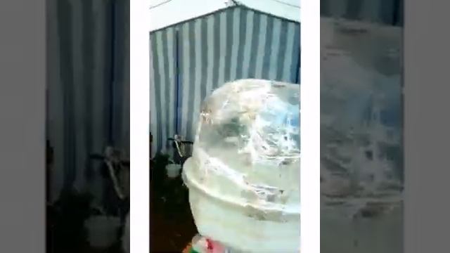 Сабантуй в Орде!!! ШОГ ГОРКУ СДУЛО!!!!!! смотреть онлайн