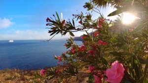 Робертино Лоретти.  Robertino Loretti. O' Sole Mio.