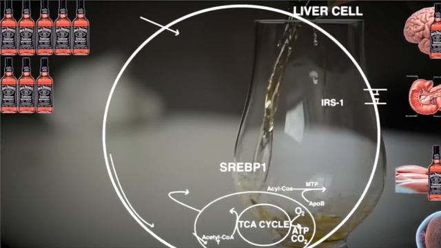 Белый кристаллический яд. Правда ли так опасен?