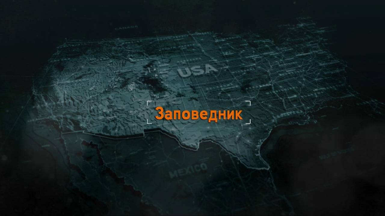 Need for Speed The Run Прохождение (Часть 9) на Сложном Уровне (Заповедник)