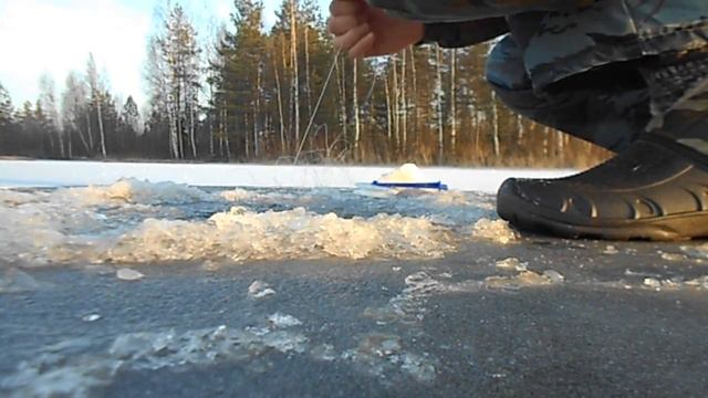 Рыбалка!!! Зима! Лен.область! Рыбалка на флажки! смотреть онлайн