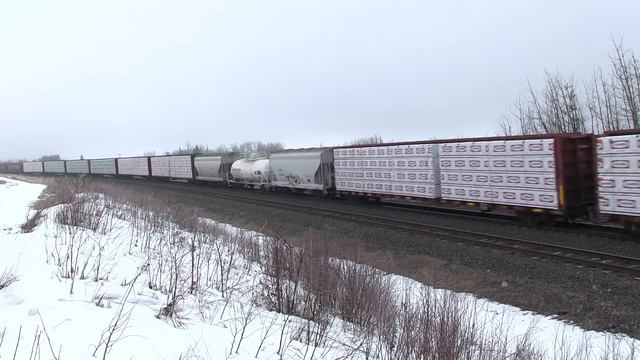 CN Train Spotting HD: CN 2808 & 2848 Leads CN M348 East At Gainford AB 3/12 3/4/16 смотреть онлайн