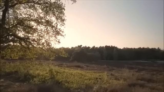 Регине через два месяца исполнялось 17. Все, о чем она мечтала, - это шуба ко дню рождения. Истории смотреть онлайн
