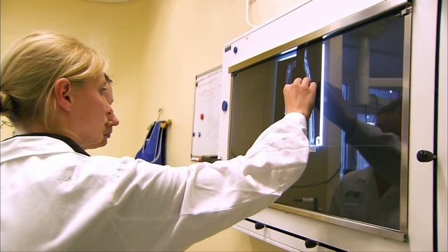 The Saga of the White-Tailed Eagle - Go Wild смотреть онлайн