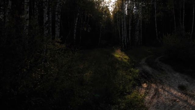 Анемнясево. Осень.2005.