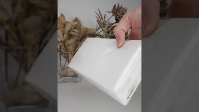 Салфетки косметические "Horeca" Professional V сложения, белые, 20*10, 2 слоя, 300 листов, P KN004 смотреть онлайн