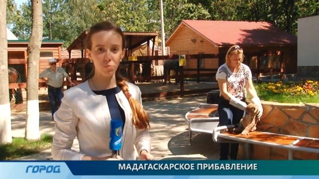 Новые питомцы "Мадагаскара" смотреть онлайн
