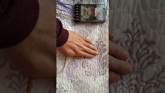 Focal Access 165a1 смотреть онлайн