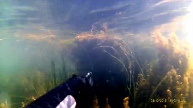 Под водой Татарского пролива смотреть онлайн