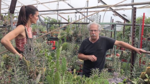 Cacti Care Tips — Plant One On Me — Ep 032 смотреть онлайн