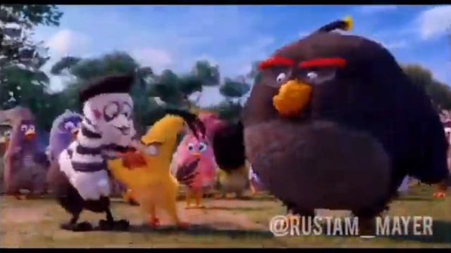 ANGRY BIRDS ОЗВУЧКА от Джавида (ЗЛЫЕ ПТИЦЫ РУСТАМ МЕЙЕР) смотреть онлайн