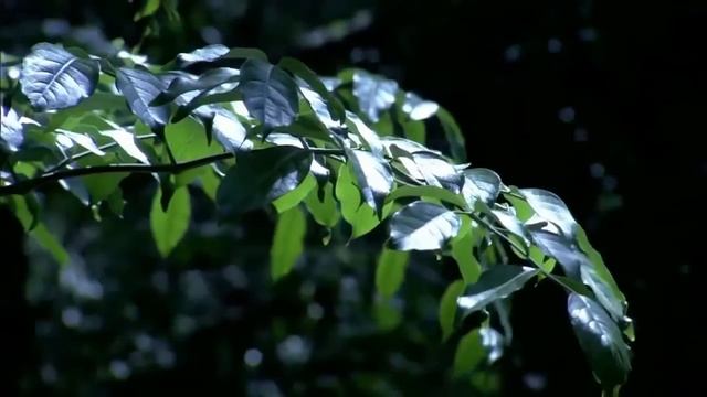 'Здоровый сон'  (матрас Тяньши')