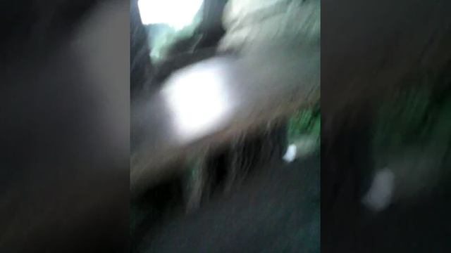 шалашёК !!!!! смотреть онлайн