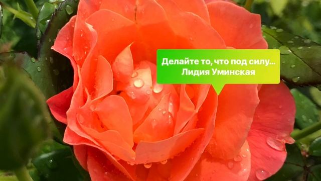 Делайте то, что под силу. Христианский стих смотреть онлайн