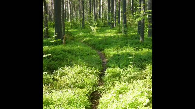 Green Tourism of Finland, Summer, SAIMAA, KESÄ смотреть онлайн