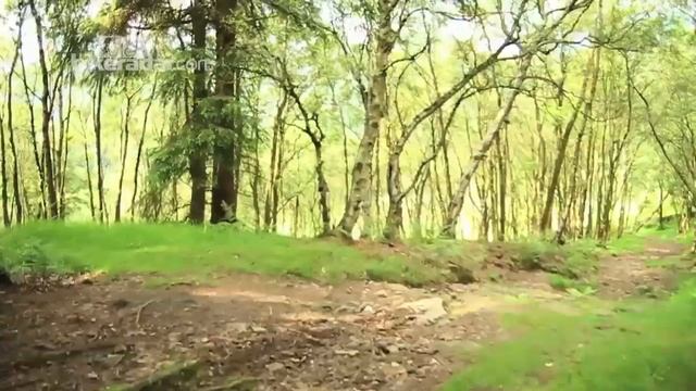 VooDoo Adventures #2: Wild Camping смотреть онлайн