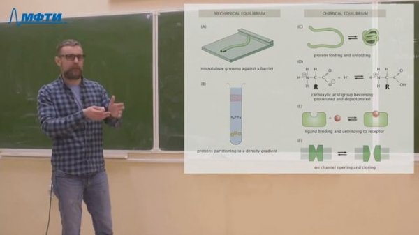 "Биофизика", Башкиров. П. В. 19.02.2021г.