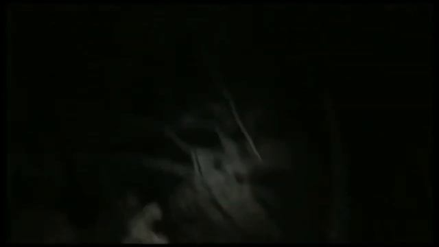 UNKNOWN CREATURE CHASES A HUNTER DURING A NIGHT IN RUSSIA #Paranormal #Cryptid #UnknownCreature смотреть онлайн