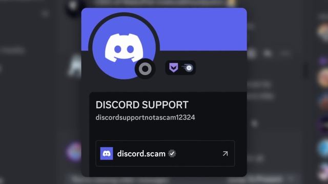 Discord's Domain Connections Were Perfect...