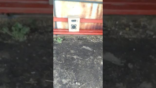 СделАл сам КОЛОНКУ ИЗ КАРТОНА смотреть онлайн