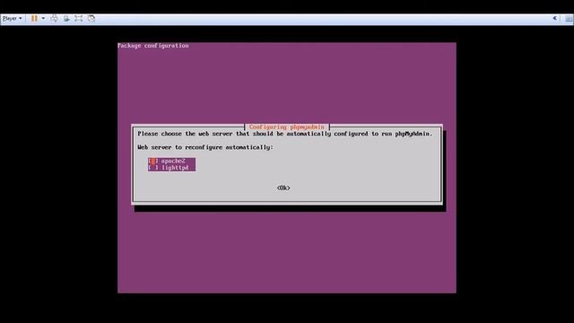 Install LAMP pada Ubuntu Server (PHP 8.0) смотреть онлайн