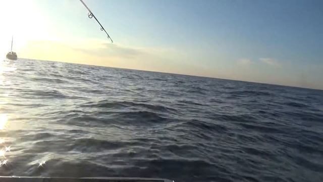 Снова в море , снова ловим селедку 11 ноября 2018г. Севастополь. смотреть онлайн