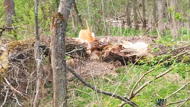 классный коп много находок с гаретт ат про смотреть онлайн