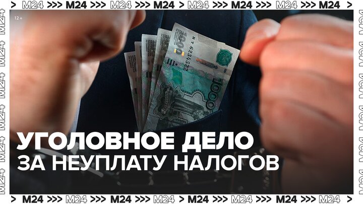 Блогер Лерчек стала фигурантом дела о неуплате налогов - Москва 24