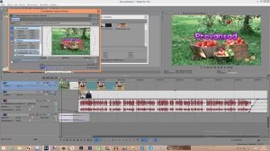 Панорамирование и обрезка событий в Sony Vegas. Сони Вегас для начинающих видеоблоггеров