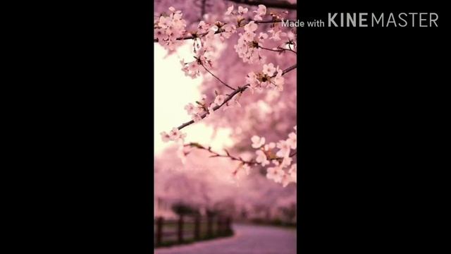 Aesthetic обои на телефон? смотреть онлайн
