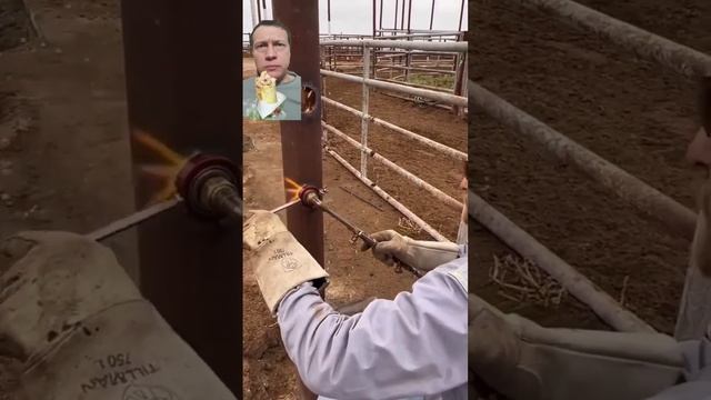 КАК ДВА ПАЛьЦА об Асфальт смотреть онлайн