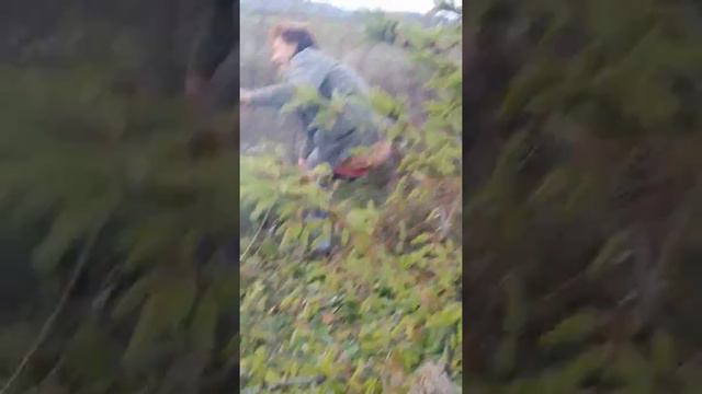 баба конь смотреть онлайн