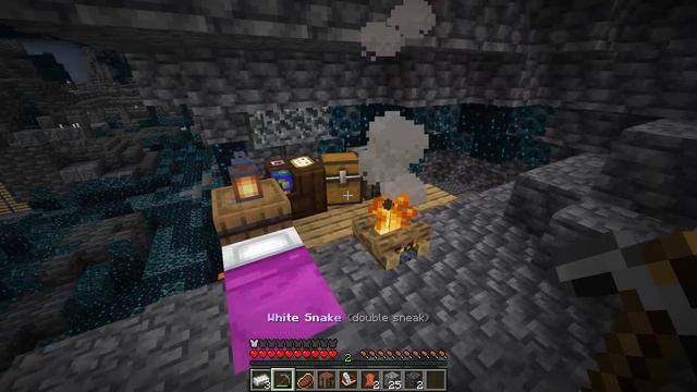 J'ai pu testé le Meilleur Mod de Minecraft.. (il est incroyable) смотреть онлайн
