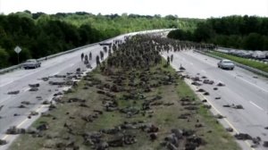 Чем закончатся ХОДЯЧИЕ МЕРТВЕЦЫ? (все версии)