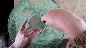 Как сделать ловушку для ловли рыбы своими руками за пару часов работы и 149 рублей затрат!