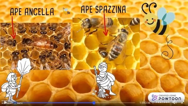 Il meraviglioso mondo delle api смотреть онлайн