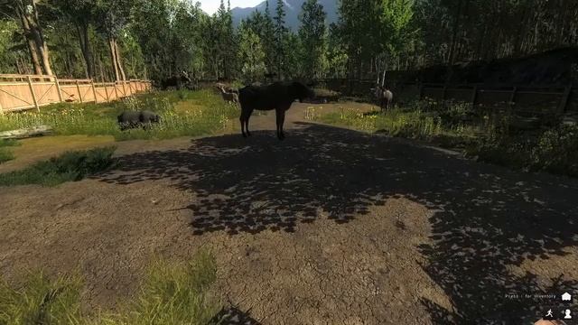 theHunter Classic - Parker Python Lookin to buy one? смотреть онлайн