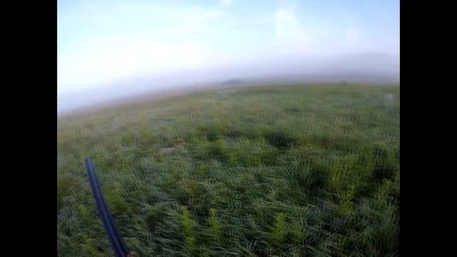 Охота на болотно-луговую дичь. Коростель - Бегущий профессор. смотреть онлайн
