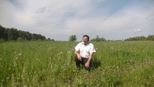 ПЕСНЯ О ДАЛЕКОЙ РОДИНЕ смотреть онлайн