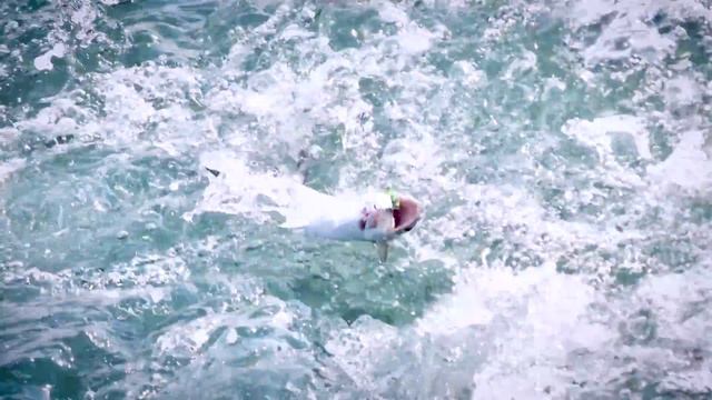 Stinging myself with Jellyfish to get Family Reactions (PRANK) смотреть онлайн