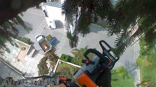 Как срезать две высокие ёлки и не повредить ничего под ними смотреть онлайн