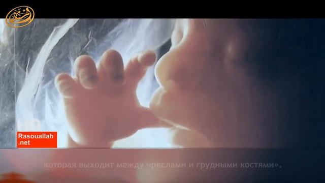 Чудо Корана и Нобелевская премия смотреть онлайн