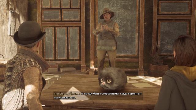 .....Хогвартс.Наследие. Часть 20. Луны Муна и разведение пушишек. смотреть онлайн