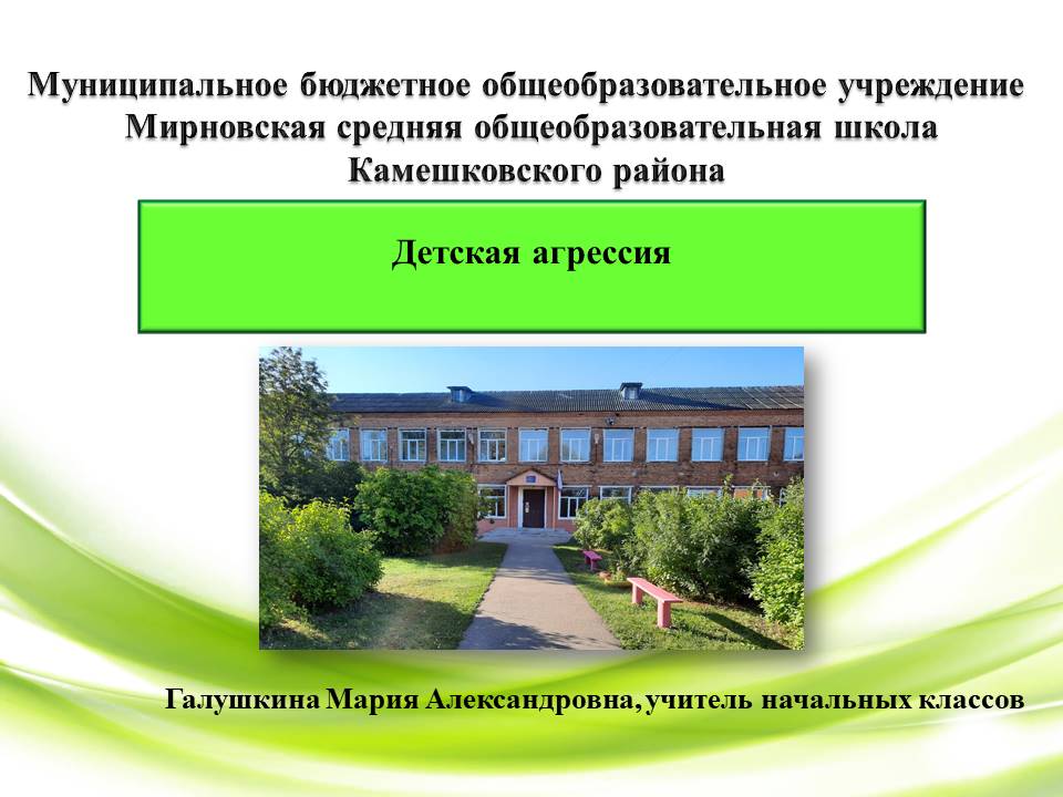 Детская агрессия Галушкина М.А.