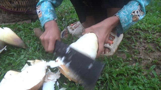 Orphan Life - Harvest Big Bamboo Shoots and Go To The Market Sell - Primitive Life смотреть онлайн