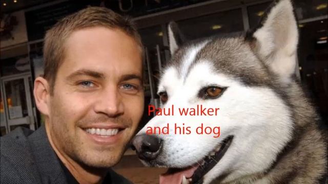 Paul Walker And Roger Rodas Tribute!