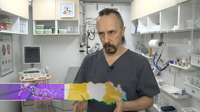 Собаки и люди. Где оставить питомца во время отпуска и опасные продукты для собак смотреть онлайн