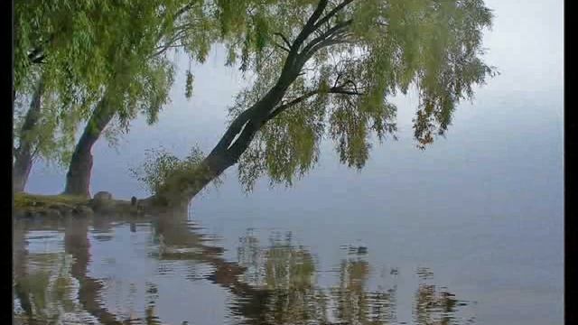 Николай Рубцов.Тихая моя родина. Читает автор. смотреть онлайн