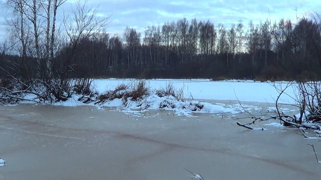 Прогулка по зимнему лесу смотреть онлайн